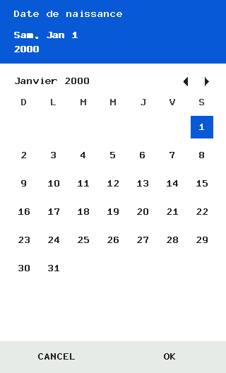 Screenshot 3 of CDateInput