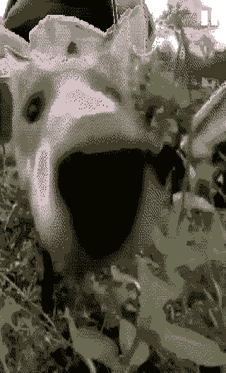 Screenshot 4 of CPVid
